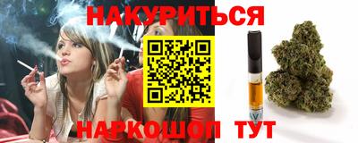 индика Донецк